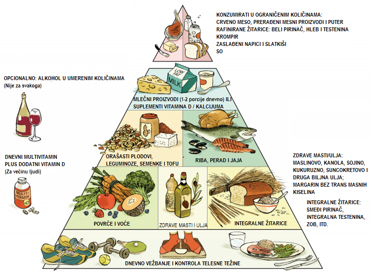 Krvne grupe i ishrana - Page 2 Piramida-1